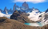 PATAGONICO NORTE CON TULIPANES